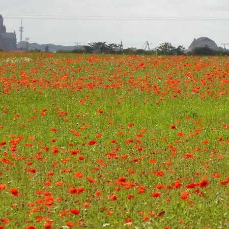 Appartement Ruegen Boettger Poseritz