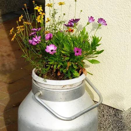 Ruegen Boettger Appartement *