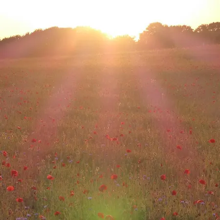 Appartement Ruegen Boettger Poseritz