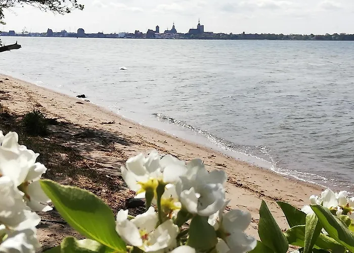 Ruegen Boettger Daire *