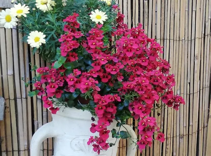 Apartament Ruegen Boettger *