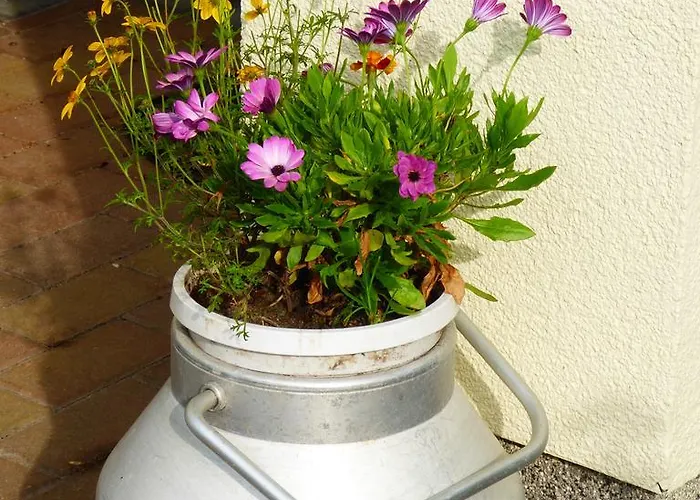 Ruegen Boettger Daire *