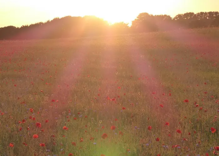 Daire Ruegen Boettger Poseritz