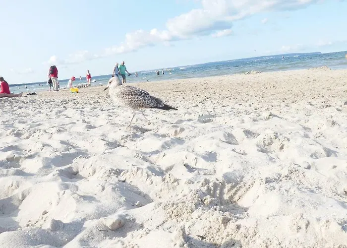 Ruegen Boettger * Poseritz